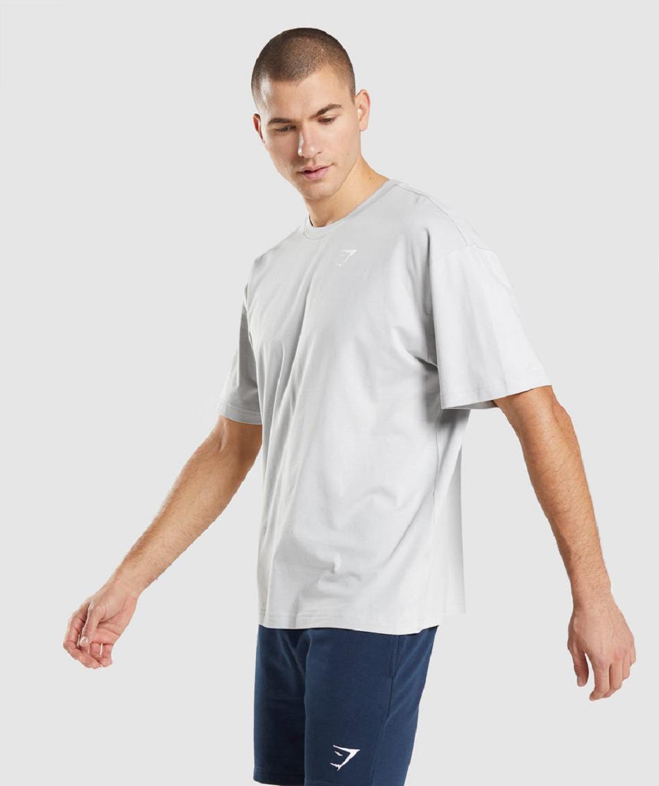 Gymshark Essential Oversized Muške T Shirts Svijetlo Sive | HR 2410UZG